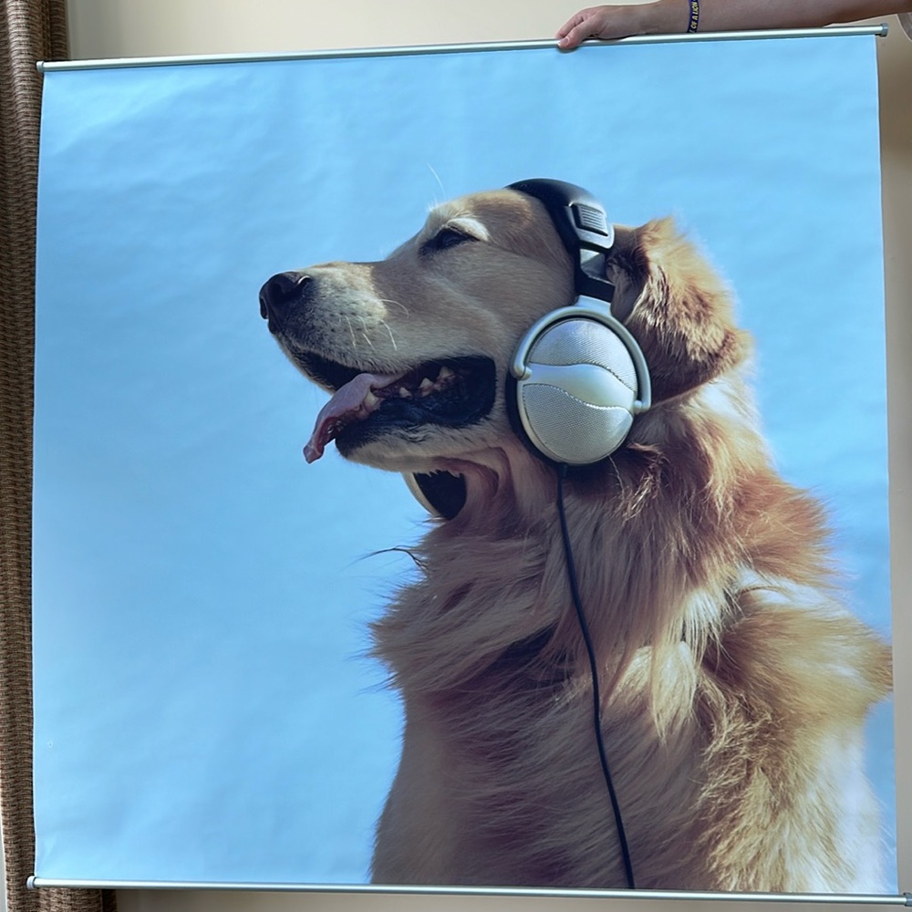 Pottery Barn Teen Wall Mural / Golden Retriever with Headphones